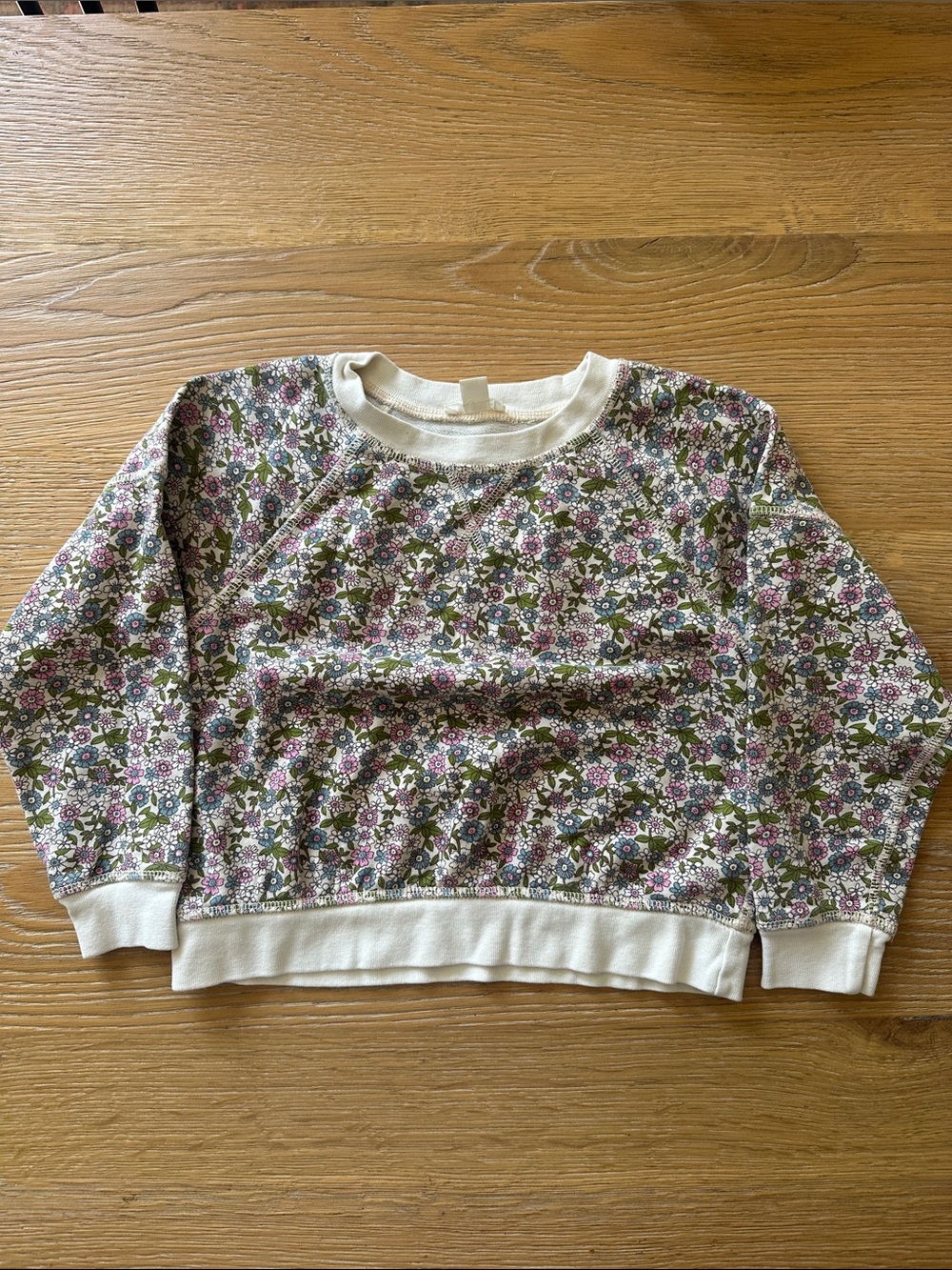 Crewcuts Floral Print Sweatshirt in Cream, Green, Pink, Purple